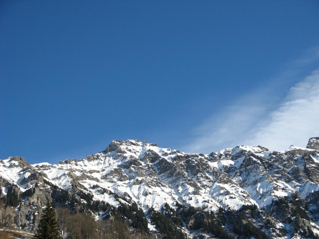 Swiss Lodge Hotel Bernerhof เวงเงน ภายนอก รูปภาพ